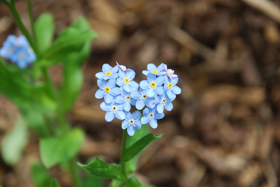 Baby en Foetus uitvaartmandjes